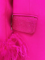 Blazer with feathers