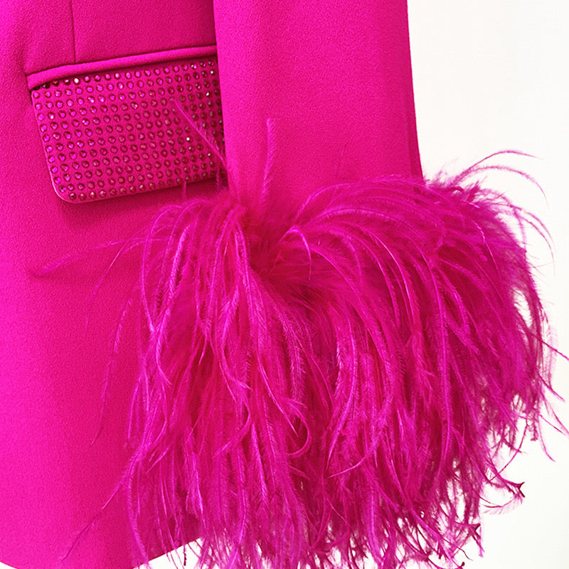 Blazer with feathers