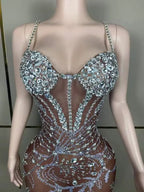 Stunning mesh dress